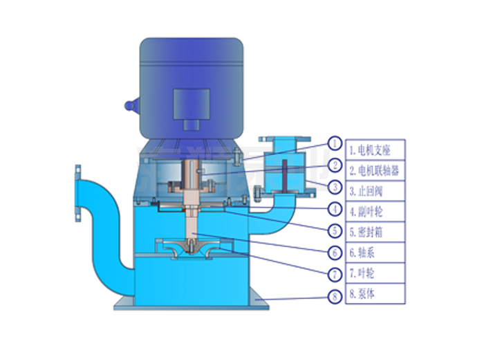 1724053815626513.jpg 3.jpg